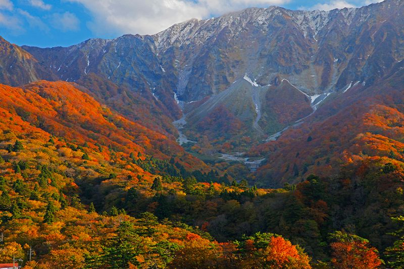 Khung cảnh mùa thu thơ mộng trên Núi Daisen. Khung cảnh mùa thu thơ mộng trên Núi Daisen.
